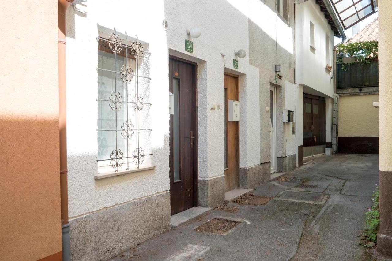 Arto Castle View Apartment Liubliana Exterior foto